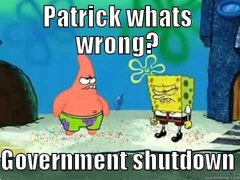 PATRICK WHATS WRONG?  GOVERNMENT SHUTDOWN Misc