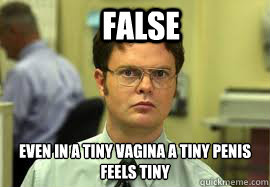 FALSE even in a tiny vagina a tiny penis
feels tiny  Dwight False