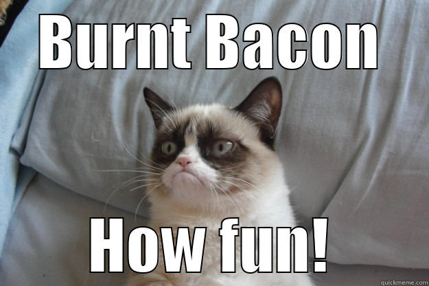 Burnt Bacon - BURNT BACON HOW FUN! Grumpy Cat