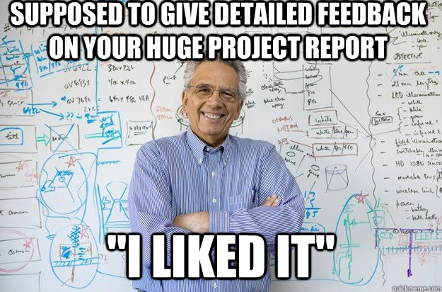 supposed to give detailed feedback on your huge project report 