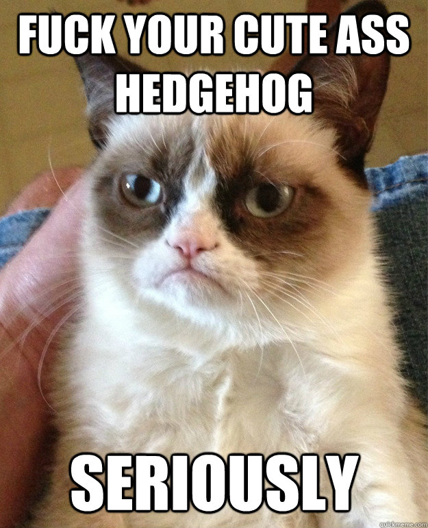 fuck your cute ass hedgehog seriously  Grumpy Cat