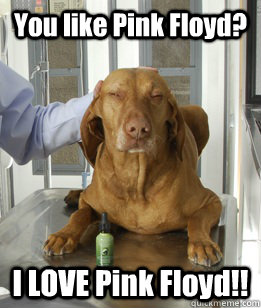 You like Pink Floyd? I LOVE Pink Floyd!!  