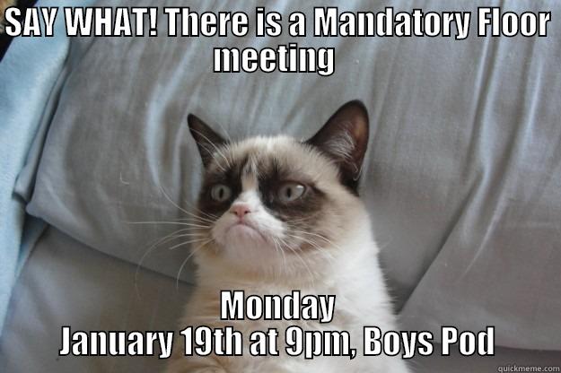 SAY WHAT! THERE IS A MANDATORY FLOOR MEETING  MONDAY JANUARY 19TH AT 9PM, BOYS POD Grumpy Cat