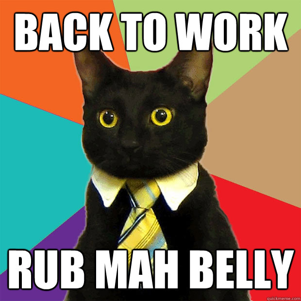 back to work rub mah belly  Business Cat