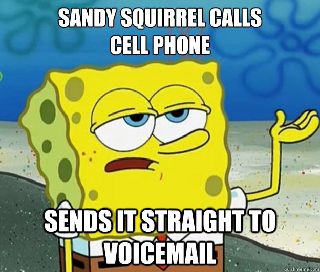 sandy squirrel calls                 cell phone sends it straight to voicemail  Tough Spongebob