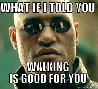 CMON GUYS IM SERIOUS - WHAT IF I TOLD YOU  WALKING IS GOOD FOR YOU Matrix Morpheus