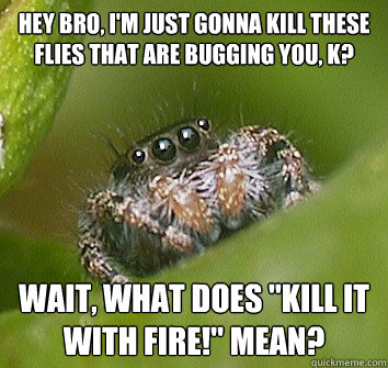 Hey bro, I'm just gonna kill these flies that are bugging you, k? Wait, what does 