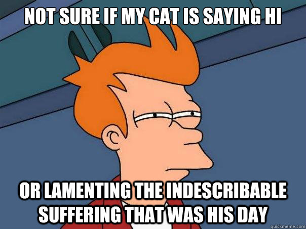 Not sure if my cat is saying hi or lamenting the indescribable suffering that was his day - Not sure if my cat is saying hi or lamenting the indescribable suffering that was his day  Futurama Fry