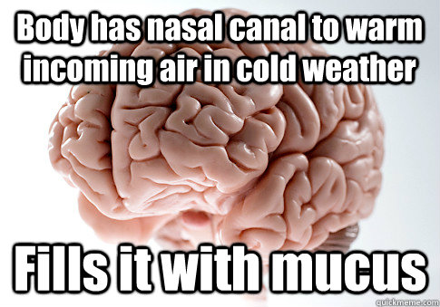 Body has nasal canal to warm incoming air in cold weather Fills it with mucus  Scumbag Brain