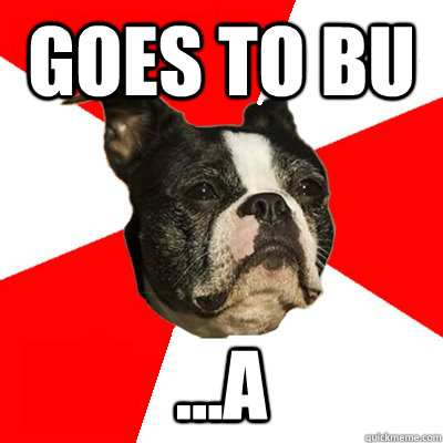 Goes to bu ...a - Goes to bu ...a  BU Kid Terrer