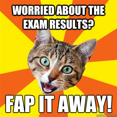 Worried about the exam results? Fap it away!  Bad Advice Cat