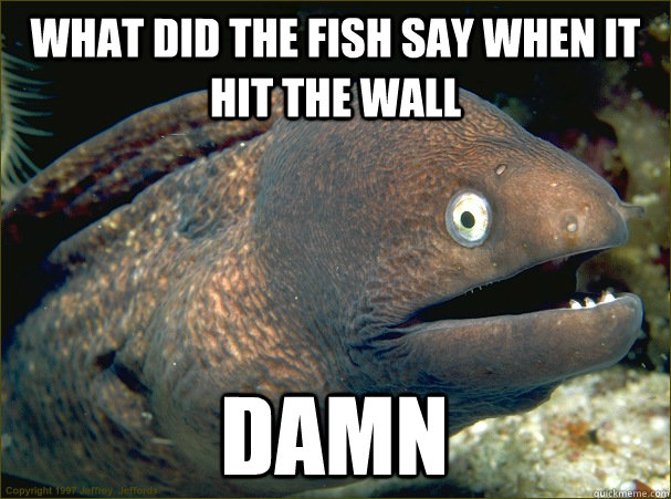 What did the fish say when it hit the wall damn - What did the fish say when it hit the wall damn  Bad Joke Eel