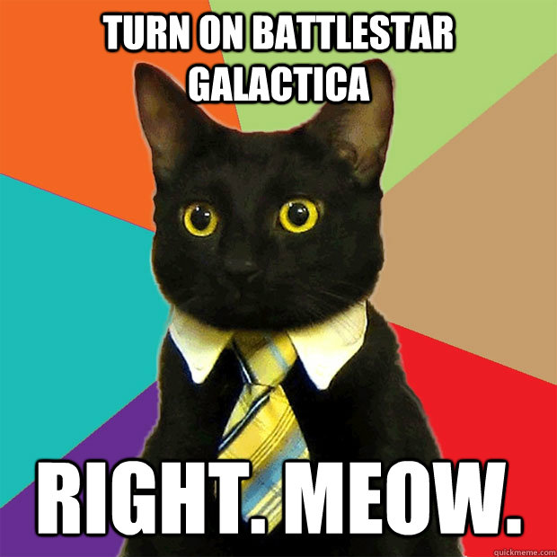 Turn on Battlestar Galactica Right. Meow.  Business Cat