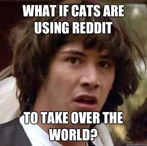 What if cats are using reddit To take over the world?  conspiracy keanu