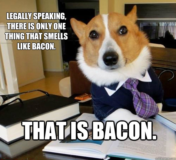 Legally speaking, there is only one thing that smells like bacon. That is bacon.  Lawyer Dog