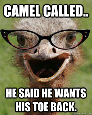 Camel Called.. he said he wants his toe back.  Judgmental Bookseller Ostrich