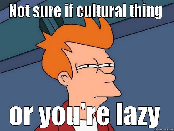 NOT SURE IF CULTURAL THING OR YOU'RE LAZY Futurama Fry