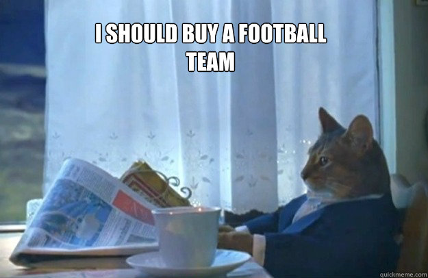 I SHOULD BUY A FOOTBALL TEAM  Sophisticated Cat