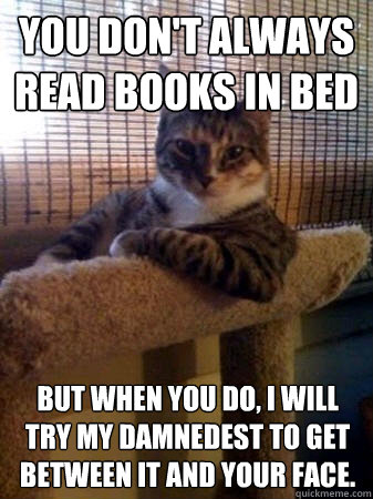 You don't always read books in bed but when you do, I will try my damnedest to get between it and your face.   The Most Interesting Cat in the World