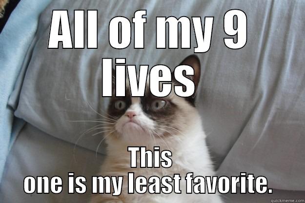 Nine Lives - ALL OF MY 9 LIVES THIS ONE IS MY LEAST FAVORITE.  Grumpy Cat