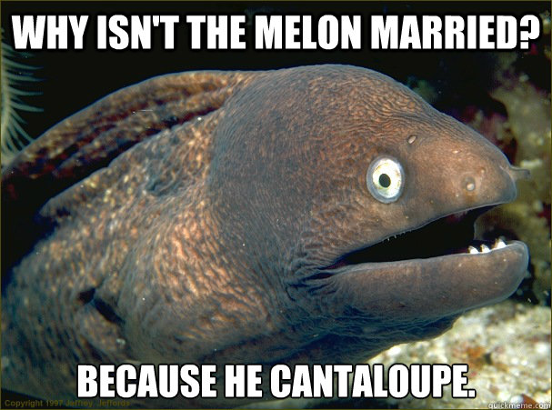 Why isn't the melon married? Because he cantaloupe.  Bad Joke Eel