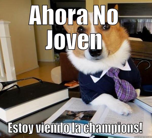 AHORA NO JOVEN ESTOY VIENDO LA CHAMPIONS! Lawyer Dog