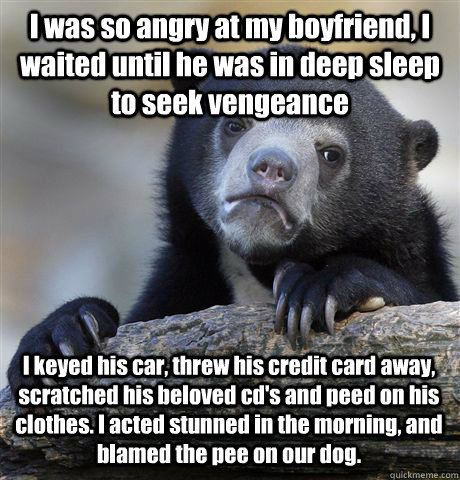 I was so angry at my boyfriend, I waited until he was in deep sleep to seek vengeance I keyed his car, threw his credit card away, scratched his beloved cd's and peed on his clothes. I acted stunned in the morning, and blamed the pee on our dog.   Confession Bear