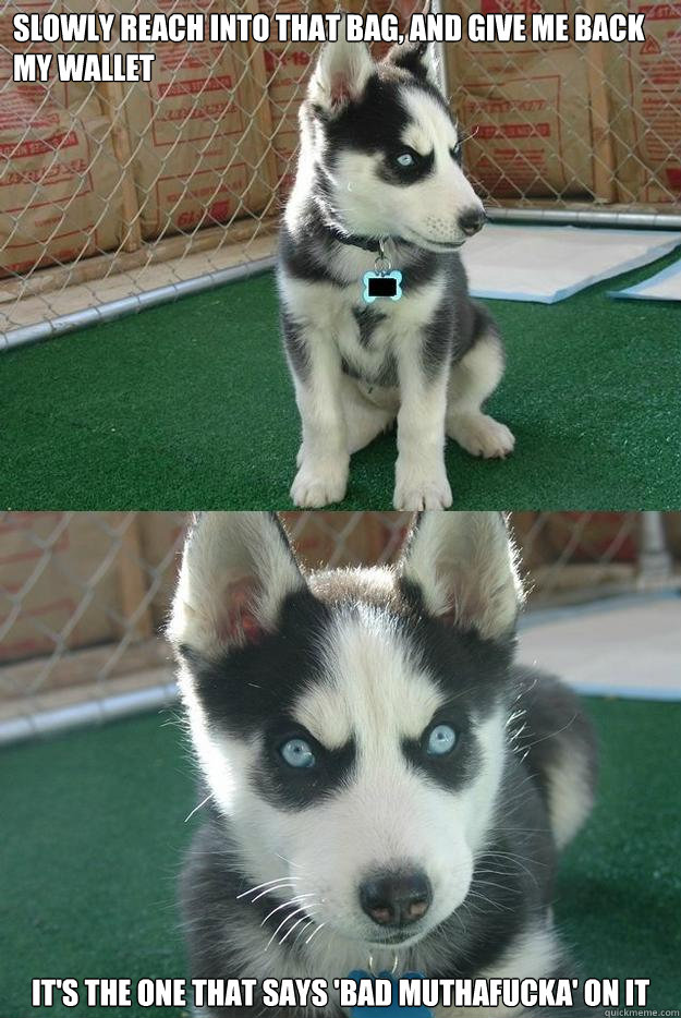 Slowly reach into that bag, and give me back my wallet It's the one that says 'Bad Muthafucka' on it  Insanity puppy