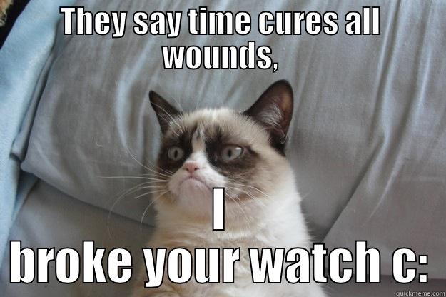 THEY SAY TIME CURES ALL WOUNDS, I BROKE YOUR WATCH C: Grumpy Cat