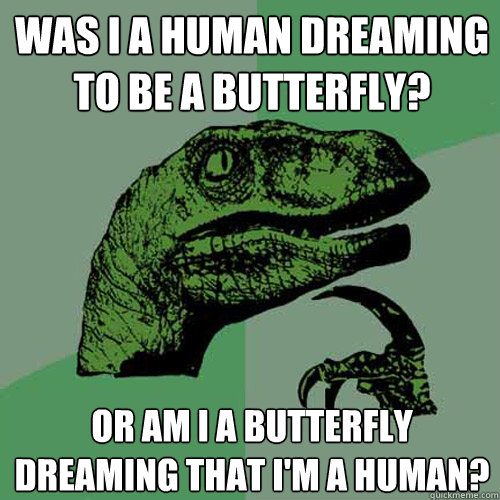 Was I a human dreaming to be a butterfly? Or am I a butterfly dreaming that I'm a human?  Philosoraptor