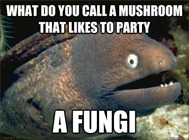 what do you call a mushroom that likes to party a fungi  Bad Joke Eel