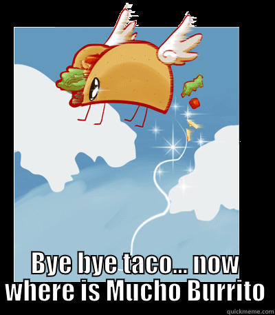  BYE BYE TACO... NOW WHERE IS MUCHO BURRITO Misc