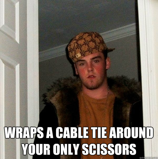  Wraps a cable tie around your only scissors  Scumbag Steve