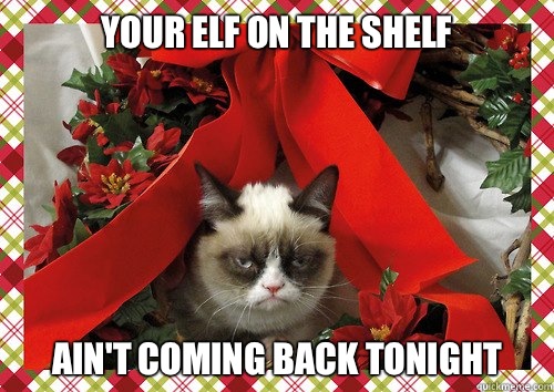 Your Elf on the Shelf Ain't coming back tonight  A Grumpy Cat Christmas