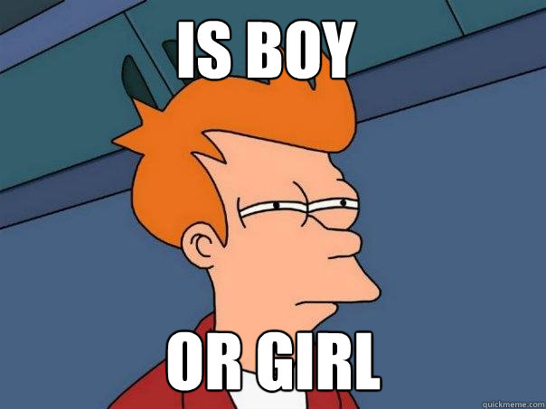 is boy or girl  Futurama Fry