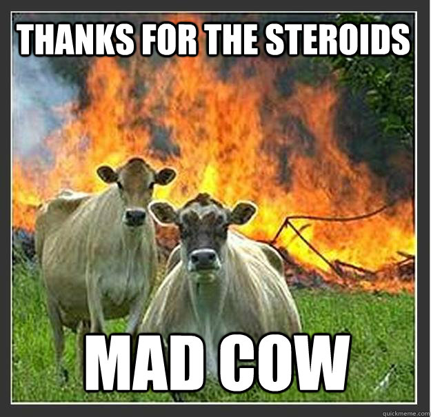 thanks for the steroids mad cow  Evil cows