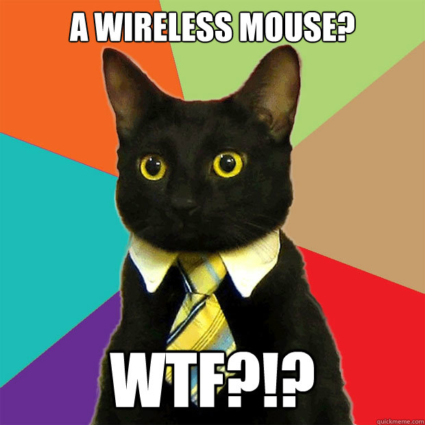 A wireless mouse? wtf?!? - A wireless mouse? wtf?!?  Business Cat