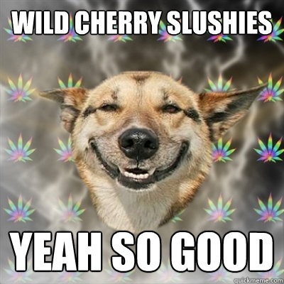 wild cherry slushies yeah so good - wild cherry slushies yeah so good  Stoner Dog