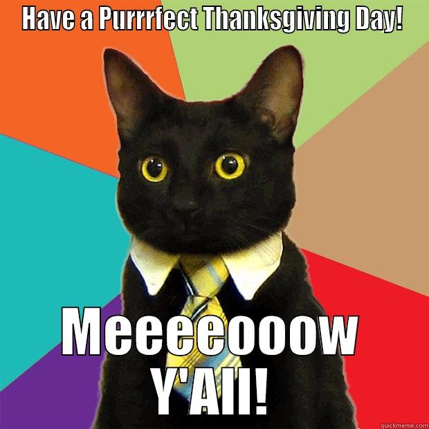 HAVE A PURRRFECT THANKSGIVING DAY! MEEEEOOOW Y'ALL! Business Cat