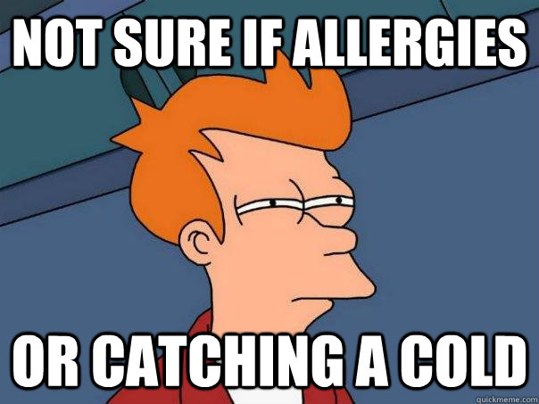 Not sure if allergies Or catching a cold  Futurama Fry