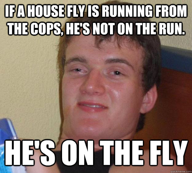 if a house fly is running from the cops, he's not on the run. he's on the fly  10 Guy