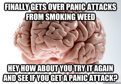 Finally gets over panic attacks from smoking weed Hey how about you try it again and see if you get a panic attack?  Scumbag Brain