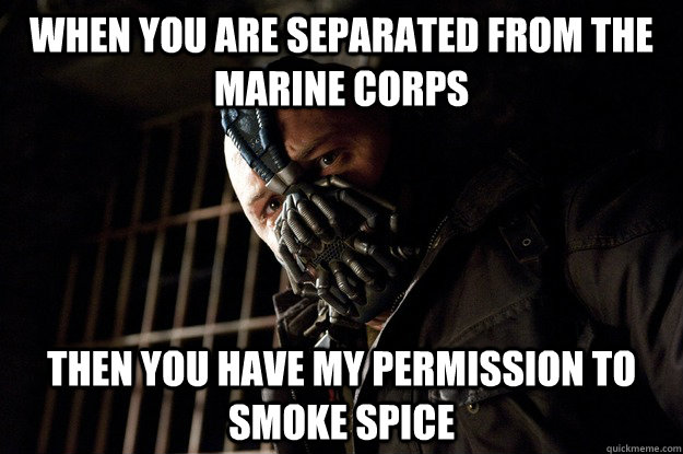 WHEN YOU ARE SEPARATED FROM THE MARINE CORPS THEN YOU HAVE MY PERMISSION TO SMOKE SPICE - WHEN YOU ARE SEPARATED FROM THE MARINE CORPS THEN YOU HAVE MY PERMISSION TO SMOKE SPICE  Angry Bane