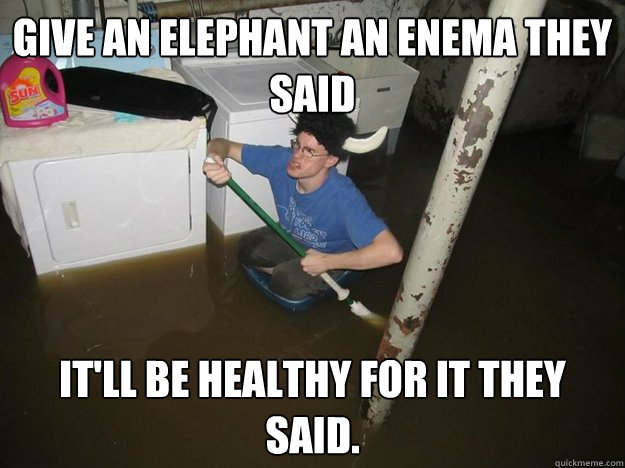 give an elephant an enema they said it'll be healthy for it they said. - give an elephant an enema they said it'll be healthy for it they said.  Do the laundry they said