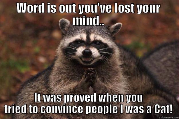 Scary Raccoon #2 - WORD IS OUT YOU'VE LOST YOUR MIND.. IT WAS PROVED WHEN YOU TRIED TO CONVINCE PEOPLE I WAS A CAT! Evil Plotting Raccoon