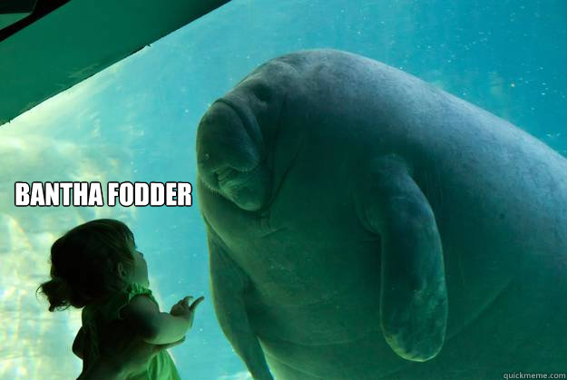   bantha fodder -   bantha fodder  Overlord Manatee