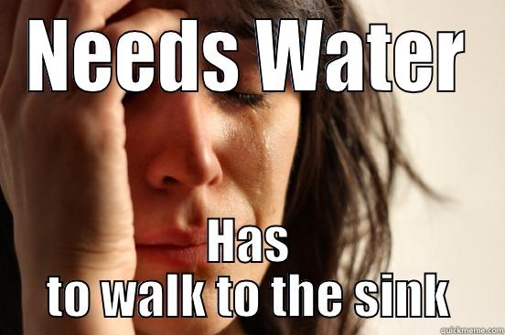 NEEDS WATER HAS TO WALK TO THE SINK First World Problems