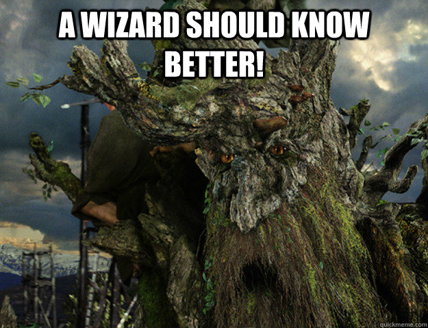 A Wizard should Know Better! - A Wizard should Know Better!  Angry Treebeard