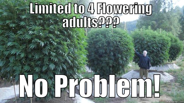 LIMITED TO 4 FLOWERING ADULTS??? NO PROBLEM! Misc