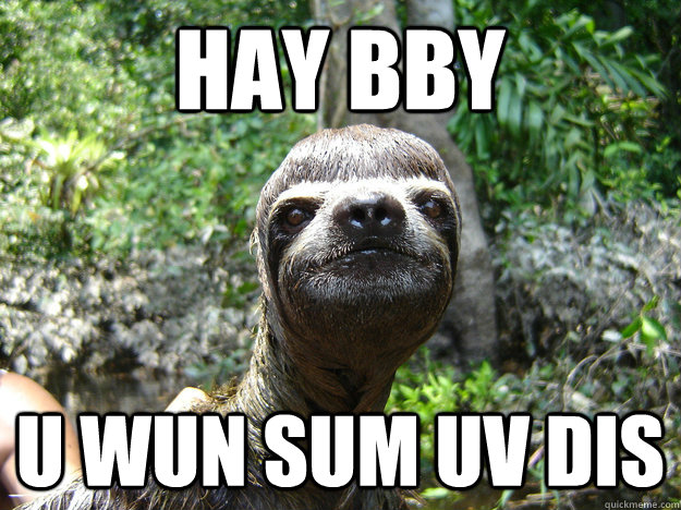 Hay Bby U Wun Sum Uv Dis Sloth Meme Quickmeme